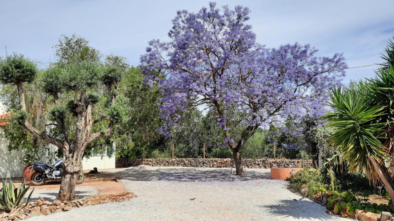Rural Peace In The Algarve - Private Room With Kitchenette And Bathroom Aldeia dos Matos Zewnętrze zdjęcie